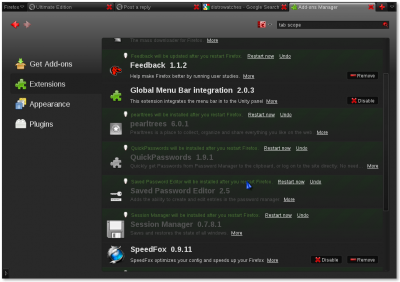 Screenshot-Add-ons Manager - Mozilla Firefox.png