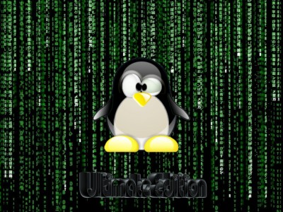 Matrix Penguin.jpg