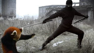 epic-ninja-red-panda-battle.jpg